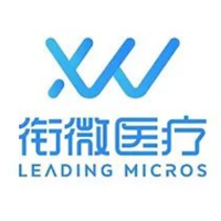 3. Leading Micros